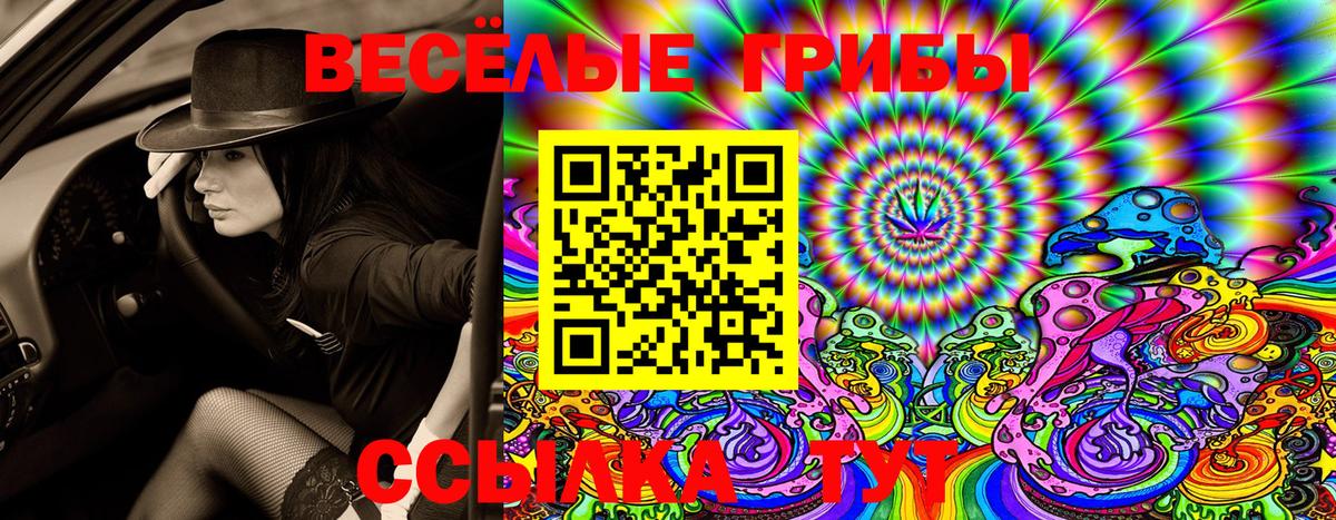 Псилоцибиновые грибы Magic Shrooms  Вход с VPN  Топки 